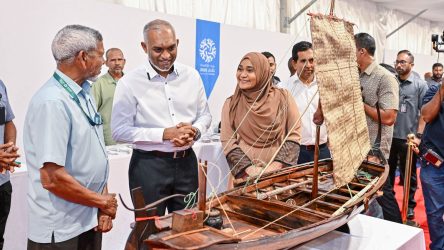 dhoni mauraz 25 HEP art viewing