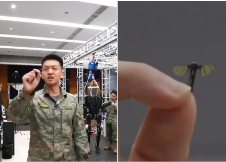drone drone