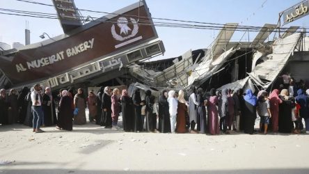 gaza (26)