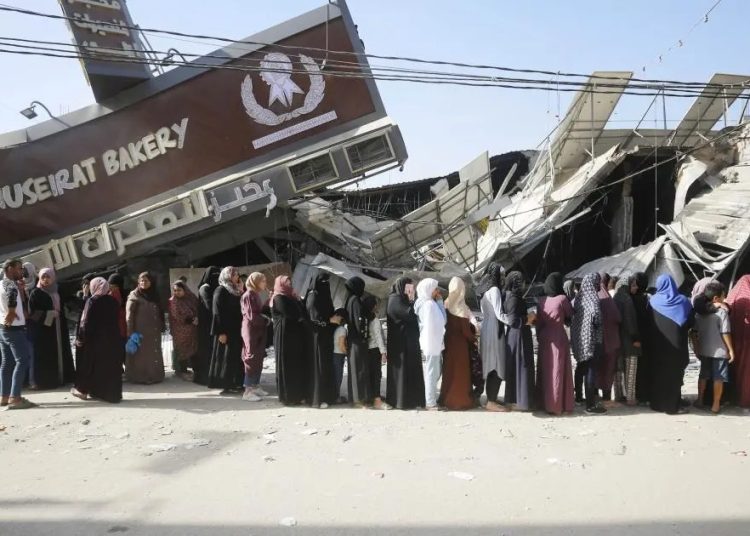 gaza (26)