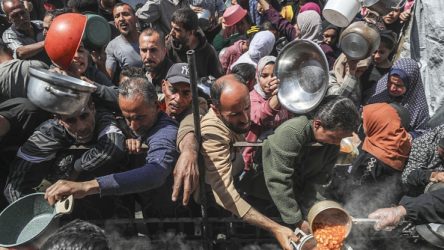 gaza hungerss