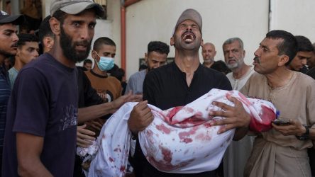 gaza kill
