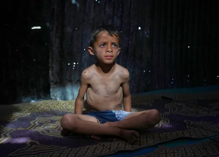gaza starv