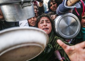 gaza starvation food begging gaza starvation food begging