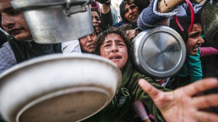 gaza starvation food begging