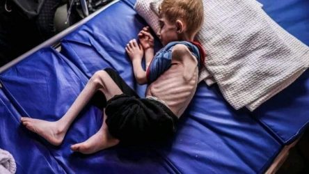 gaza starvation