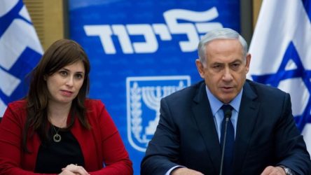 israel ambassedor