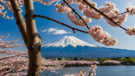 japan