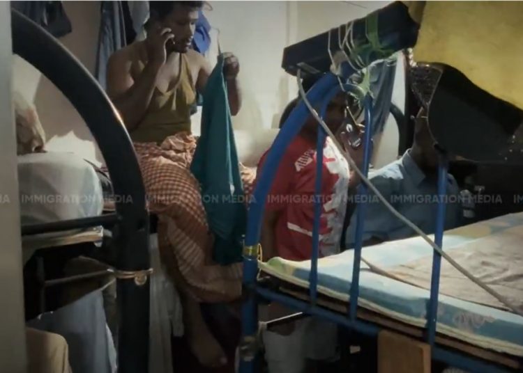 large_17441143724962vQ