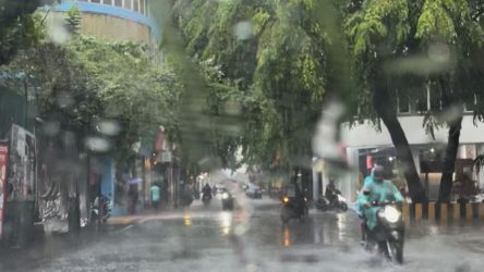 rain