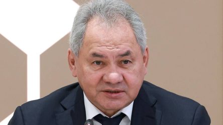 shoigu