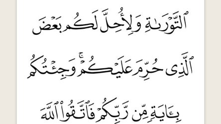 signal-2025-03-09-151253