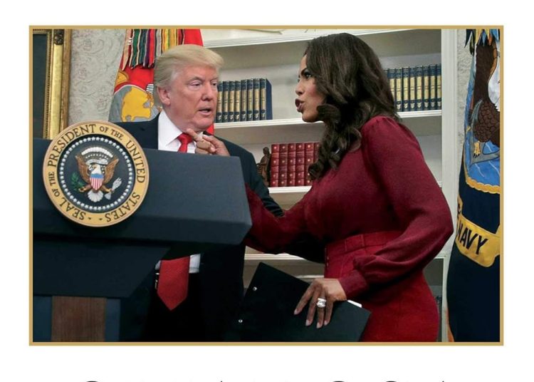 trump book 2