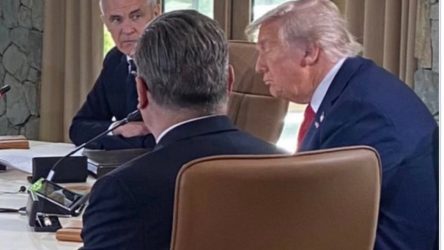 trump maakanaa
