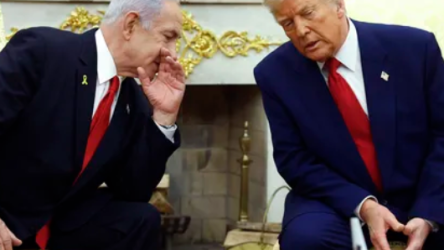trump natan