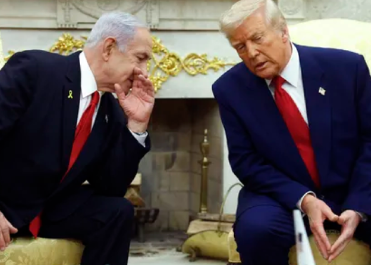 trump natan