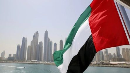 uae flag